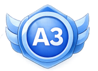 A3